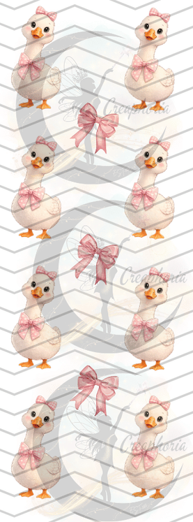 CP12