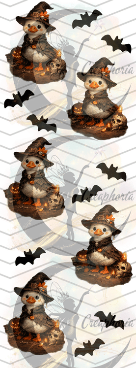 CP16