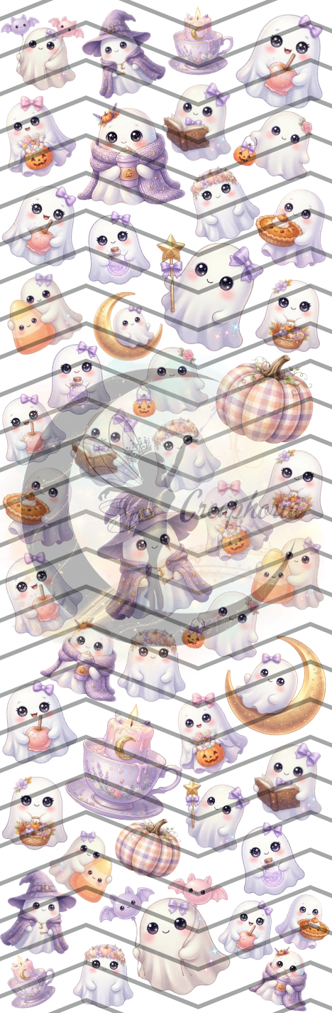 CP44