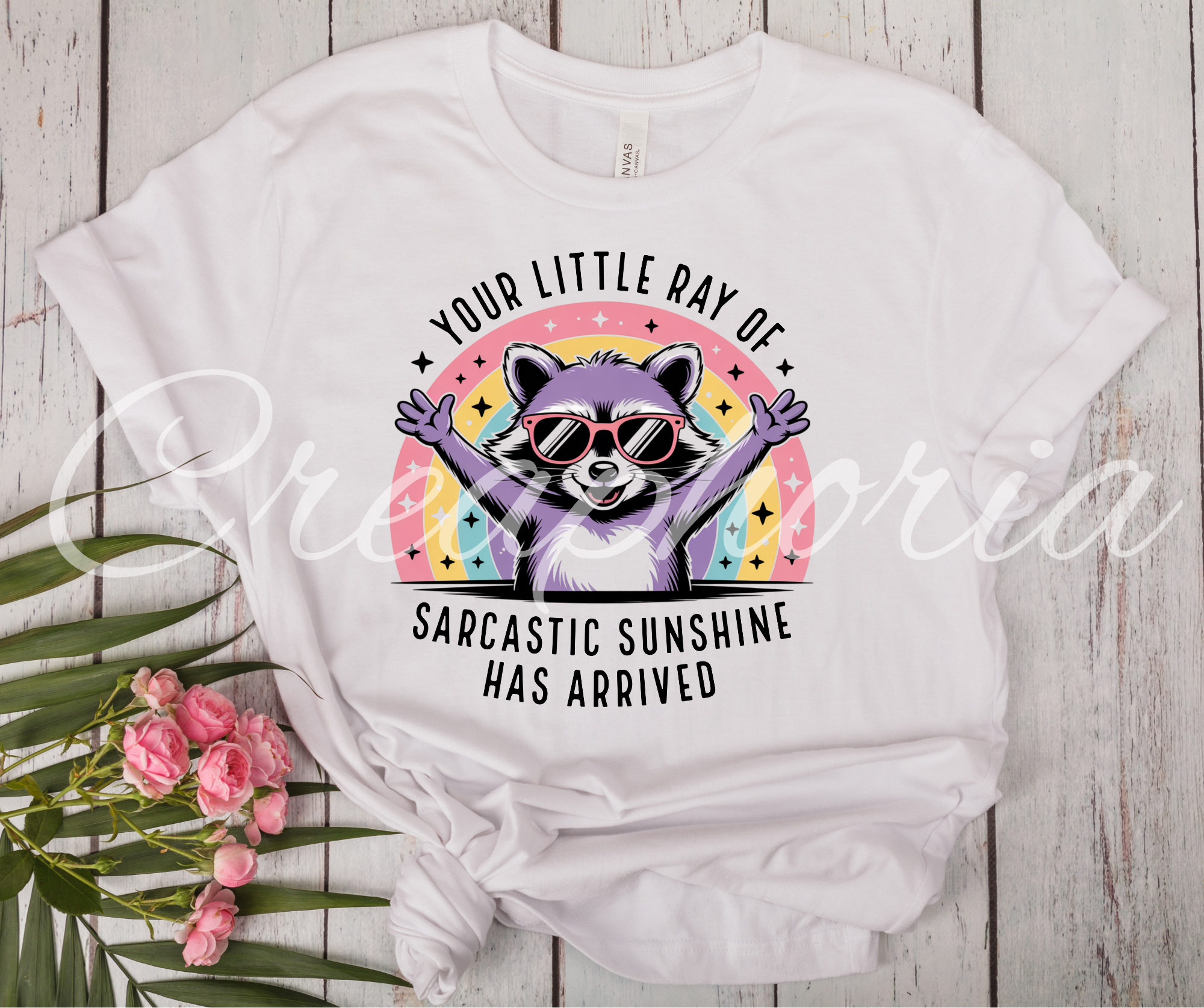 Racoon - Sarcastic Sunshine -S2